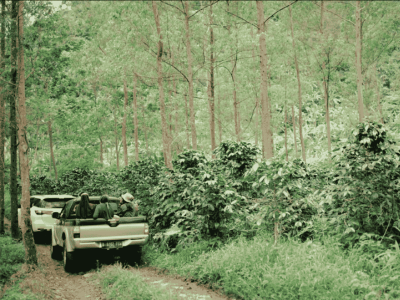 Cp 2