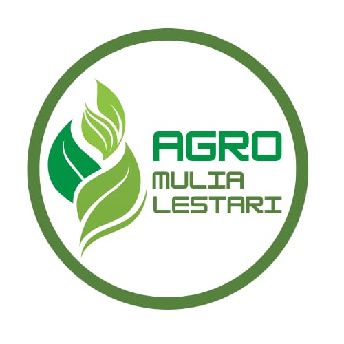 logo3